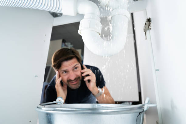 Best Septic Systems  in Hamlin, WV