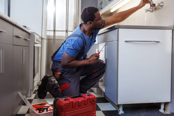 Best Sprinkler Systems  in Hamlin, WV