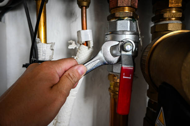 Best Affordable Plumbing Services  in Hamlin, WV